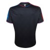 Maillot de Supporter Crystal Palace Troisième 2024-25 Pour Homme